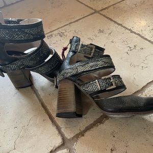 Freebird by Steven Jaclyn 7